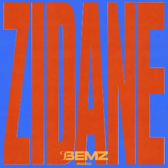 Zidane by Bemz