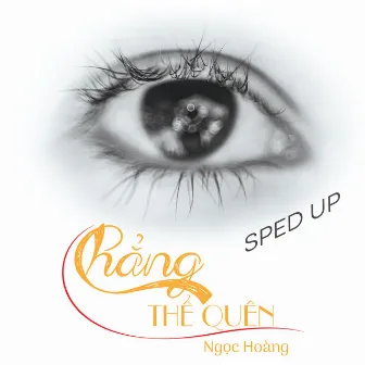 Chẳng Thể Quên (Sped Up) by Ngọc Hoàng