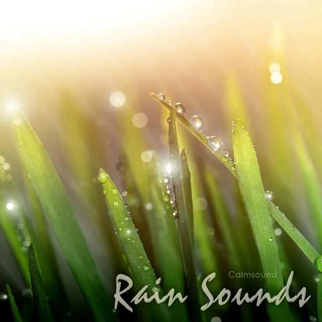 Rain Sounds