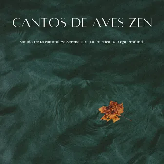 Cantos De Aves Zen: Sonido De La Naturaleza Serena Para La Práctica De Yoga Profunda by Los Pájaros Cantores