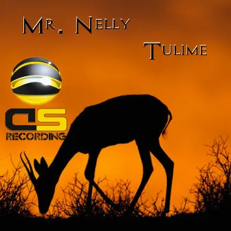 Tulime by Mr. Nelly