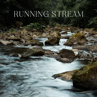 Running Stream: Soothing and Relaxing River Water Flow by Natural Therapy Music Academy