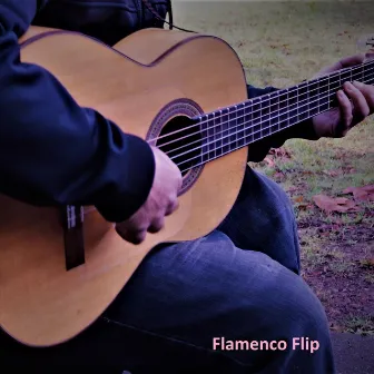 Flamenco Flip by Andre Stepanian