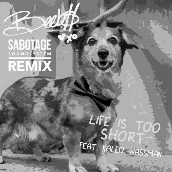 Life Is Too Short by Sabotage Soundsystem