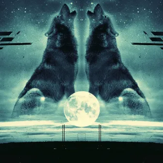 Two Wolves by 20DUCE