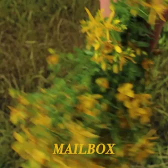 Mailbox by Ulepuschkinrose