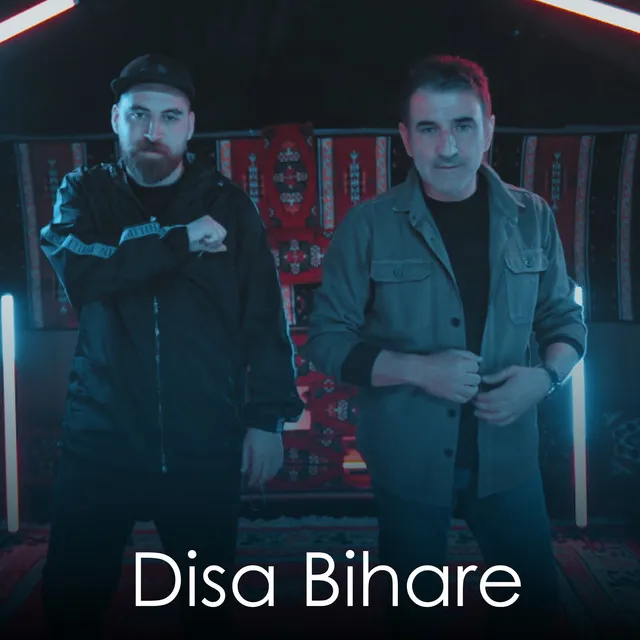 Disa Bihare