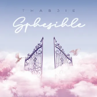 Sphesihle (feat. Mthunzi) by Thabsie