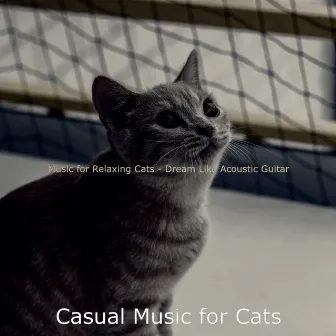 Music for Relaxing Cats - Dream Like Acoustic Guitar by Casual Music for Cats