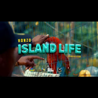 Island Life by Zone 8 Empire