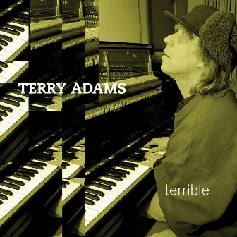 Terrible (Deluxe Edition) by Terry Adams