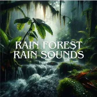 Rain Forest Rain Sounds by Nature Sounds!