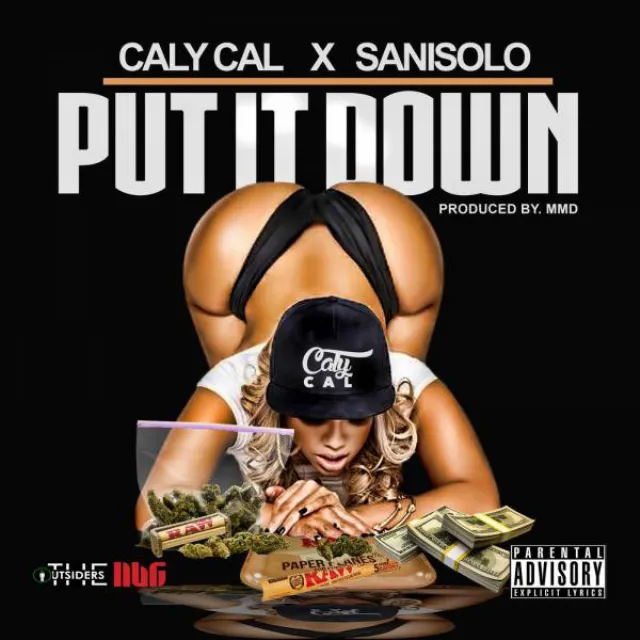 Put It Down (feat. Sani Solo)