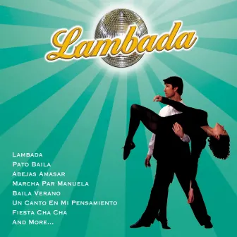 It Takes Two To Lambada by Los Marchosos