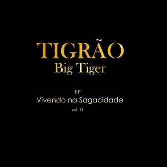 Meus Conhecimentos by Tigrão Big Tiger