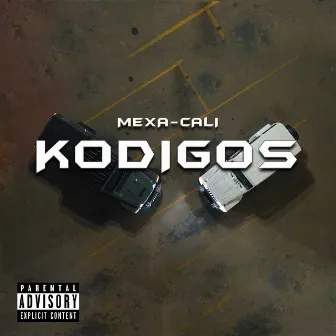 Kodigos by Mexacali