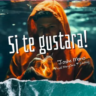 Si Te Gustara by Joshe Mario