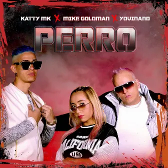 Perro by Katty MK