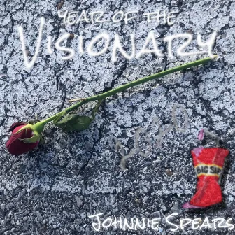 Year of the Visionary by Johnnie Spears