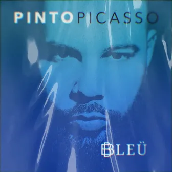 Bleu by Pinto Picasso