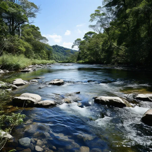 Los sonidos relajantes de la naturaleza sueca