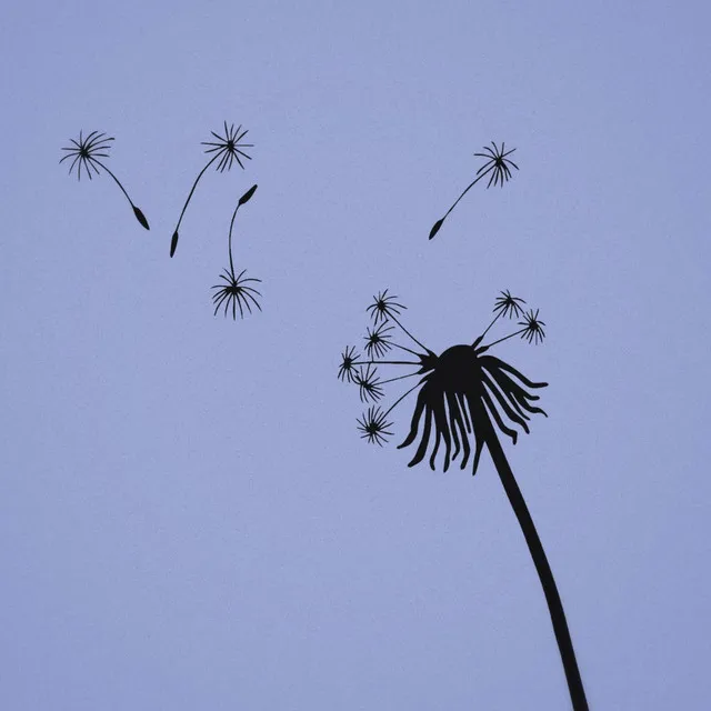 Dandelion seeds