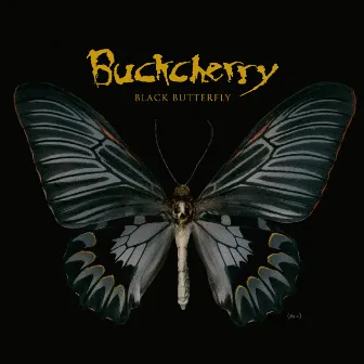 Black Butterfly by Buckcherry