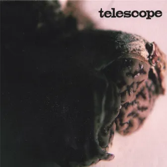 Telescope by Telescope