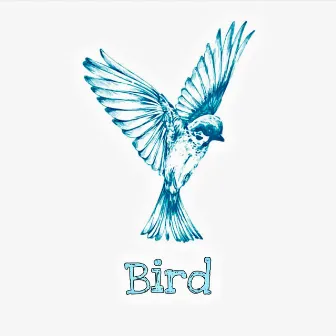 Bird by 