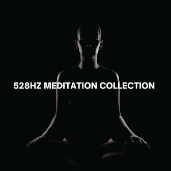 528 Hz Healing Frequencies by 528Hz Repairs DNA