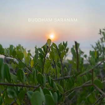 Buddham Saranam Gachhami by Komorebi