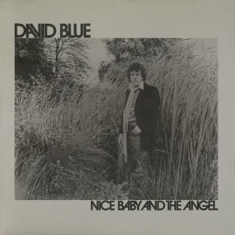 Nice Baby and The Angel by David Blue