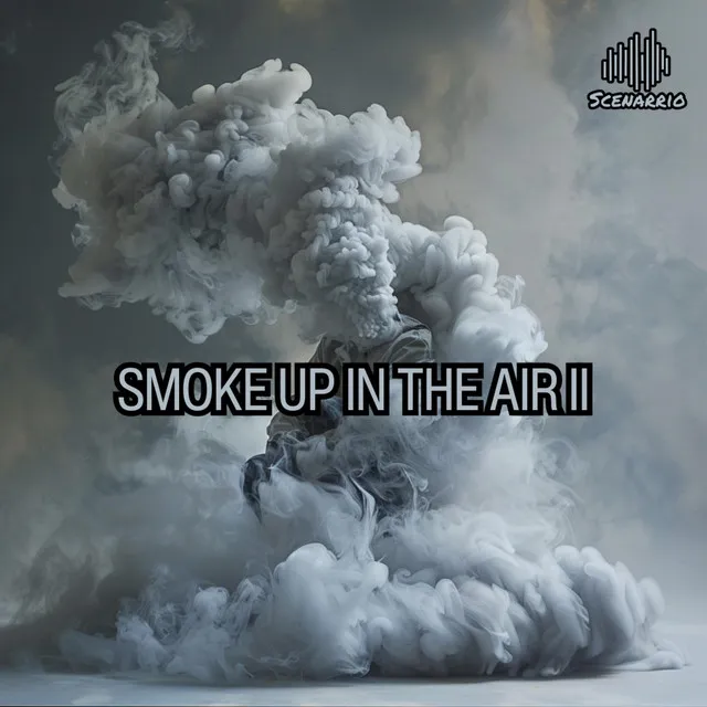 Smoke Up In The Air II