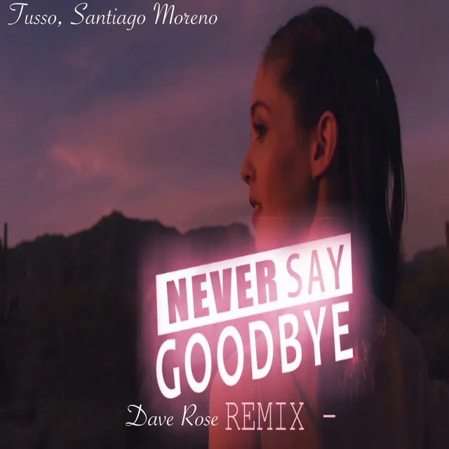 Never Say Goodbye - Dave Rose Remix