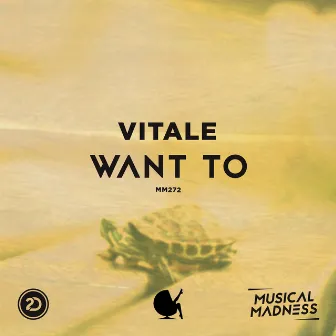 Want To by Vitale