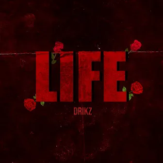 Life by DriKz