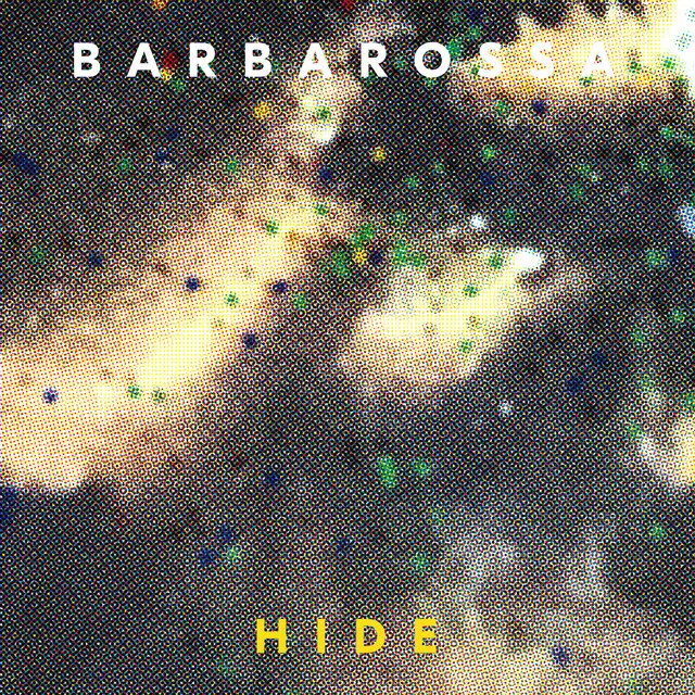 Hide