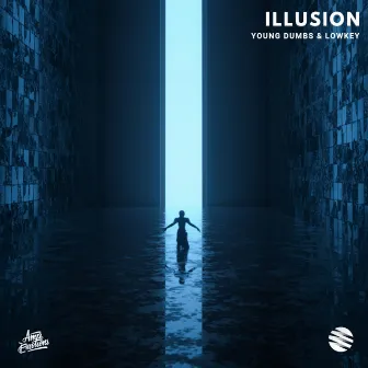 Illusion by LOWKEY