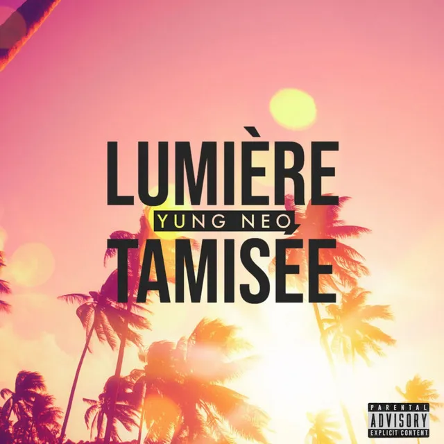 Lumière Tamisée