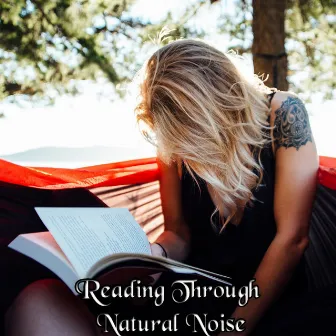 Reading Through Natural Noise by Study Concentration