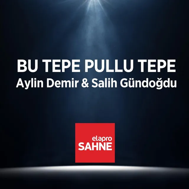 Bu Tepe Pullu Tepe