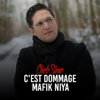 C'est Dommage Mafik Niya by Cheb Simo