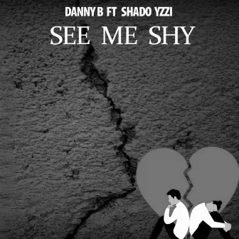 See Me Shy by Danny B