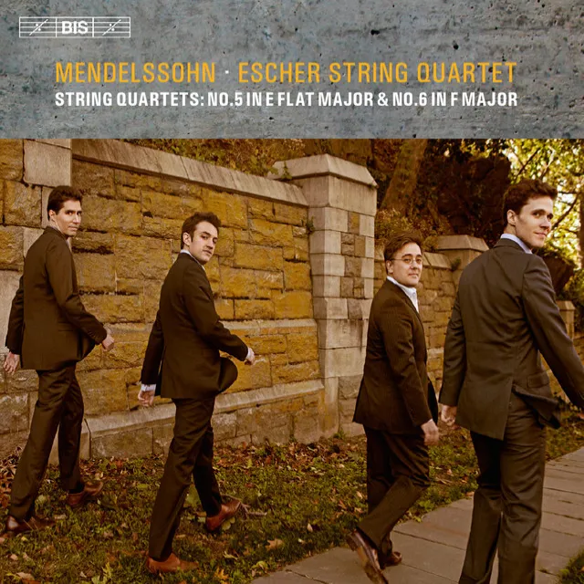 String Quartet No. 6 in F Minor, Op. 80, MWV R 37: I. Allegro vivace assai