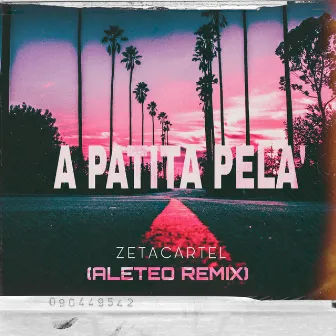 A PATITA PELA' (Remix) by ZETACARTEL