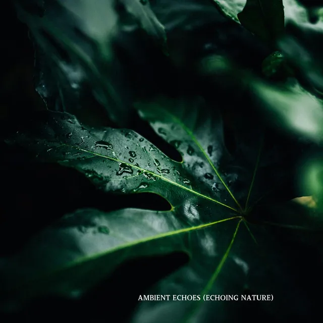 Ambient Echoes (Echoing Nature)