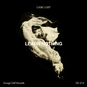 Learn Nothing by Logic Lost