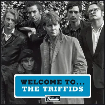 Welcome to the Triffids by The Triffids