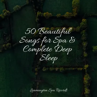 50 Beautiful Songs for Spa & Complete Deep Sleep by Unknown Artist