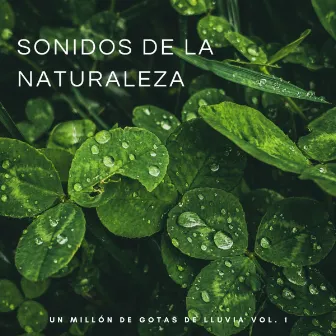 Sonidos De La Naturaleza: Un Millón De Gotas De Lluvia Vol. 1 by Ambiente de Tormenta